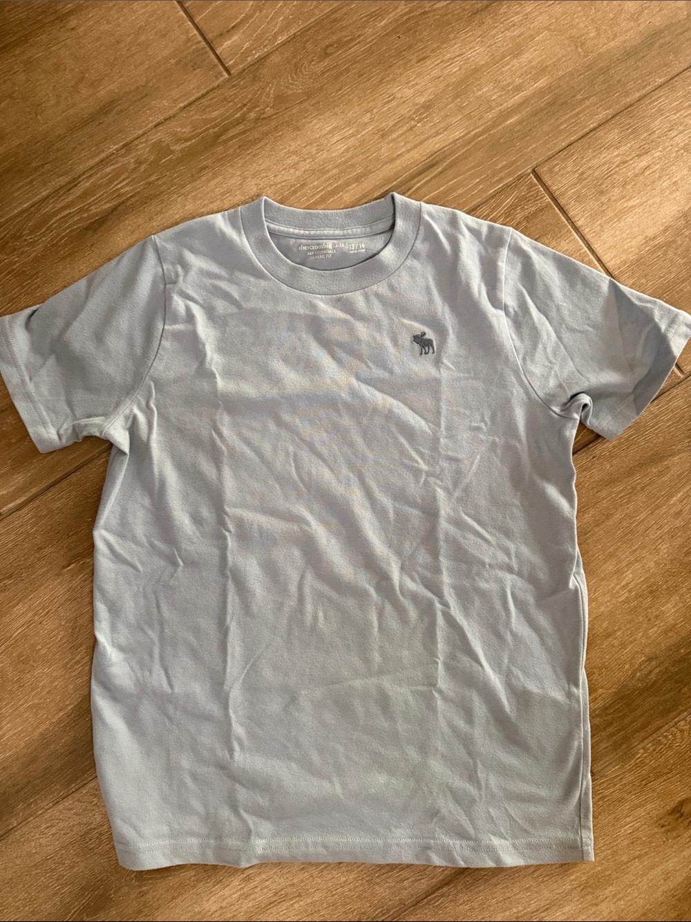Abercrombie & Fitch kids Pale Blue Logo Crew Tee size 13 / 14